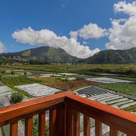 Teras Sawah Guest House Syariah Sembalunlawang Luaran gambar