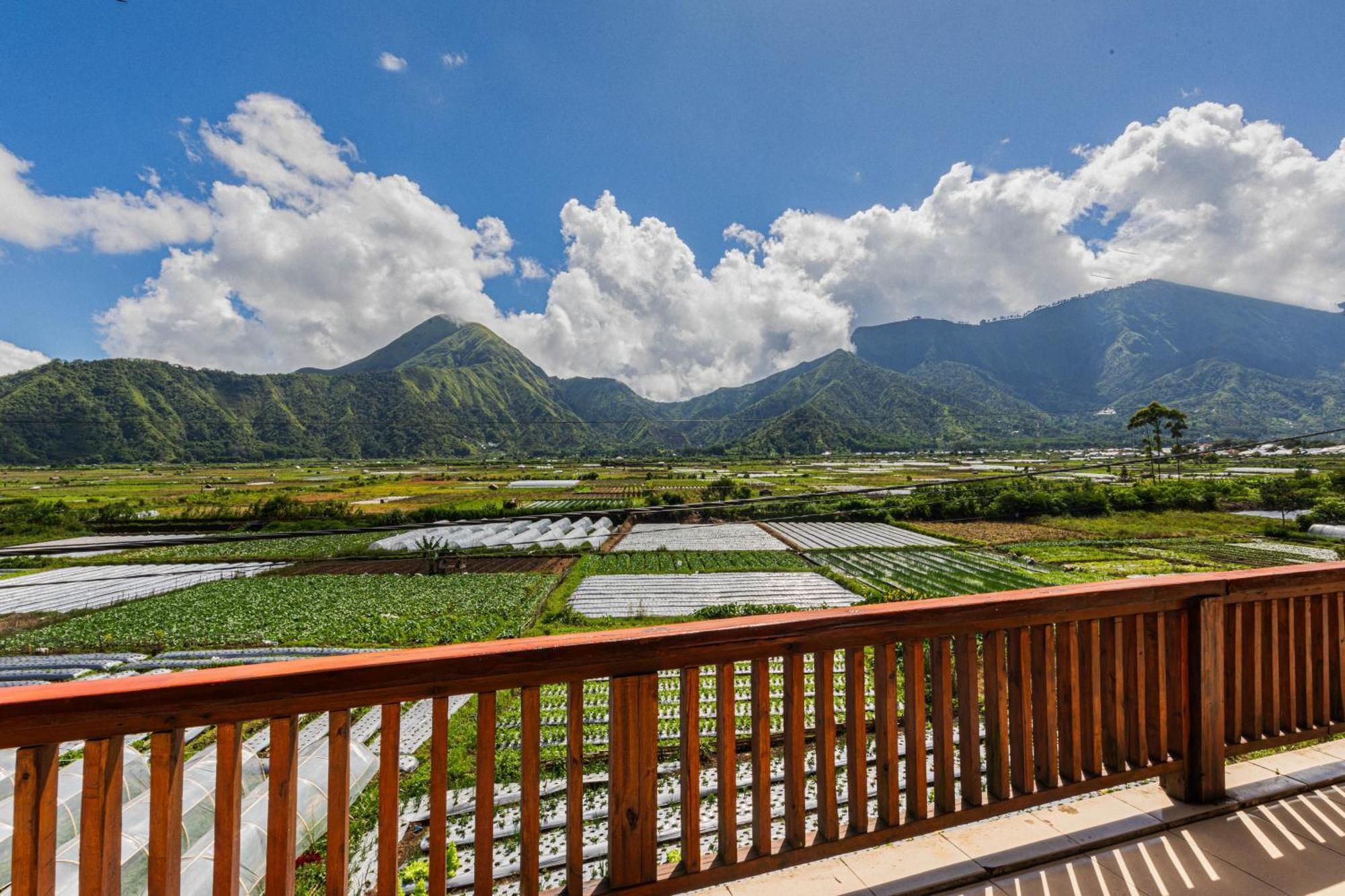 Teras Sawah Guest House Syariah Sembalunlawang Luaran gambar