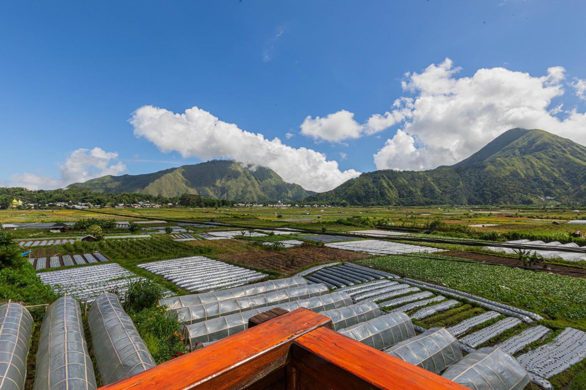 Teras Sawah Guest House Syariah Sembalunlawang Luaran gambar