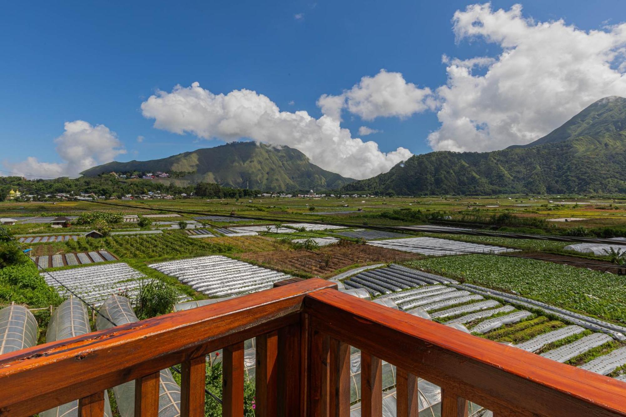 Teras Sawah Guest House Syariah Sembalunlawang Luaran gambar